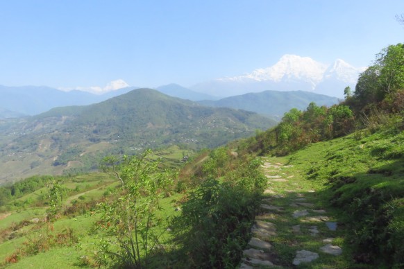 Fin du trek, répliques de tremblement et humanitaire à Pokhara